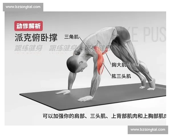 从徒手健身到器械训练的全方位对比与身体塑形效果深度解析与选择指南 从徒手健身到器械训练的全方位对比与身体塑形效果深度解析与选择指南